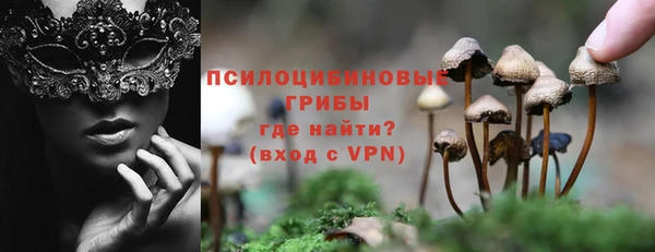 соль курить ск Бугульма