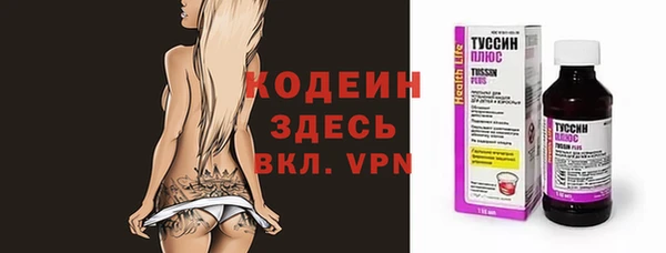 шишки Вяземский